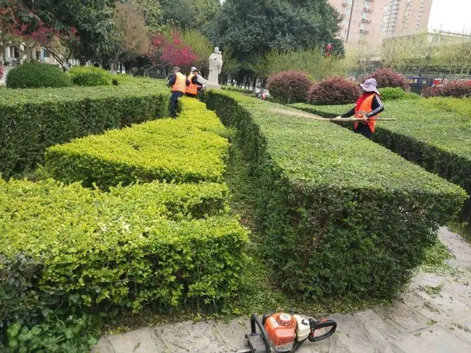绿化工程回扣率是多少