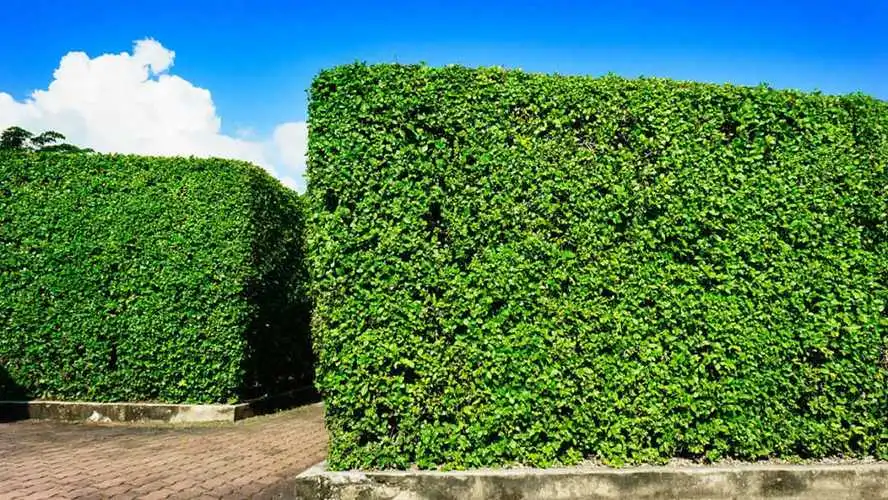 陕西铜川：厚植德治沃土 铸就“好人之城”