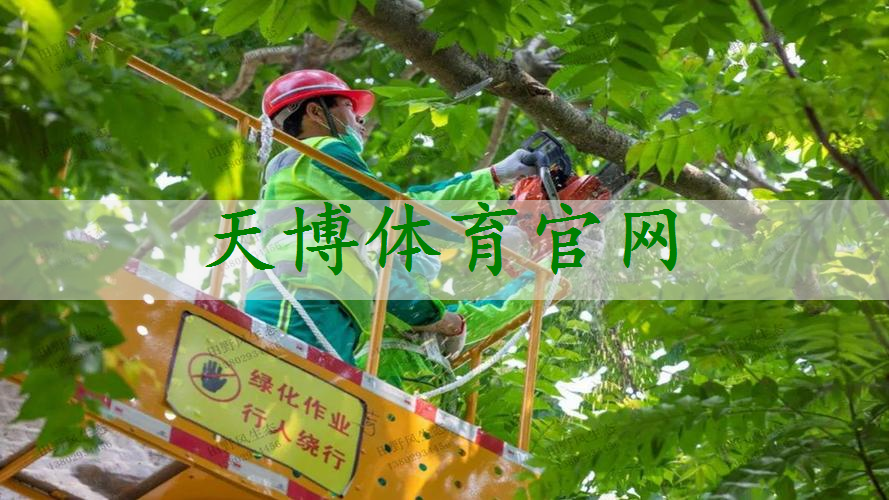 智能人机绿化工程