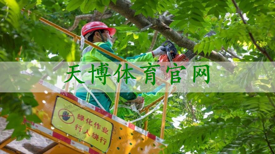 家庭园林景观设计仿古